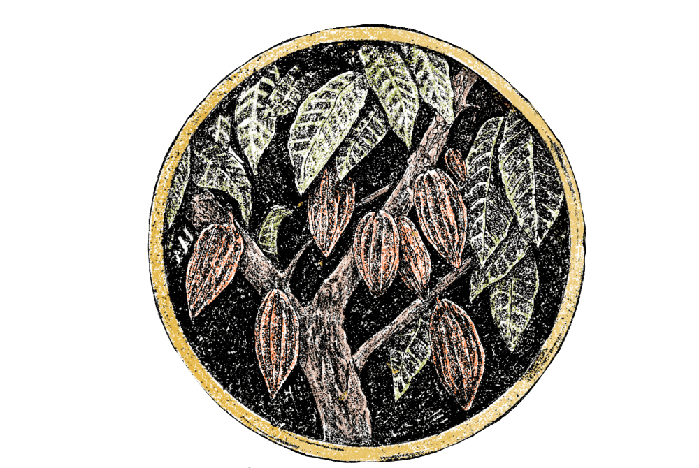 Cacao tiny